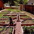 Garden Area with Planting Beds